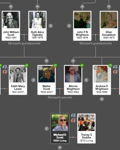 My Family Tree
